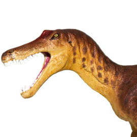 Baryonyx  S100573