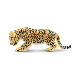 Jaguar cub standing Toymany