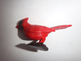 Red cardinal  mini