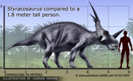 Styracosaurus Papo 55090