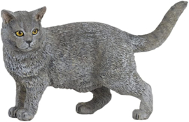 Chartreux Papo 54040