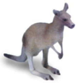 Kangaroo 75450  groot