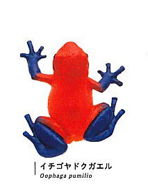Aardbeikikker