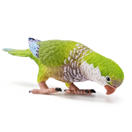 Monniksparkiet