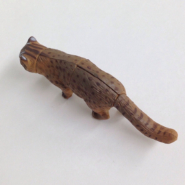 121 Tsushima Leopard Cat