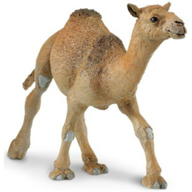 Dromedary Camel  Safari Ltd S222429