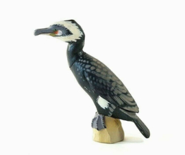 145  Japanese Cormorant