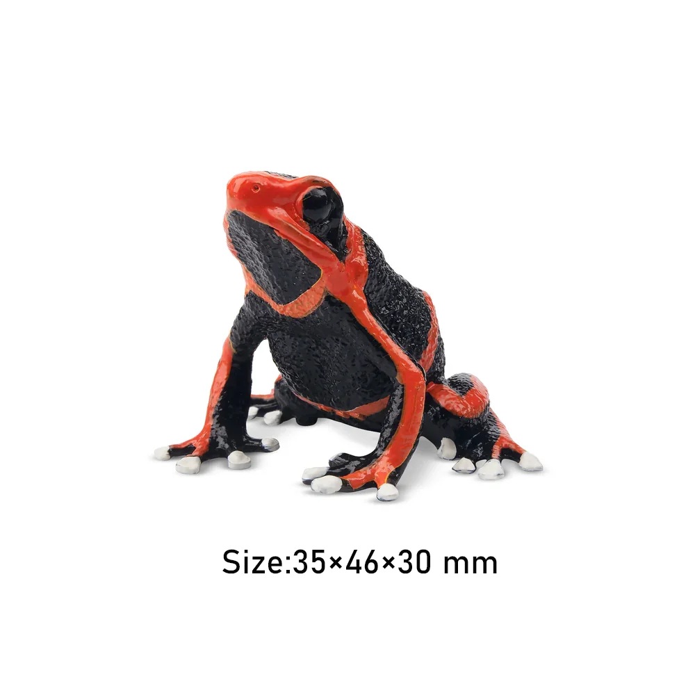 Lehmann's poison dartfrog Toymany