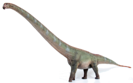Mamenchisaurus Haolonggood HLG 095