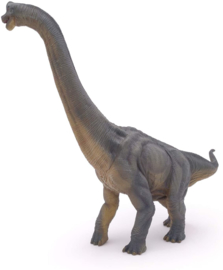 Brachiosaurus  Papo 55030