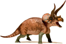 Triceratops sp. Cryptic | EoFauna
