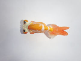 Hemelkijker Chotengam