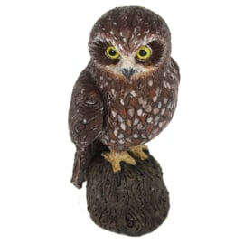 Australian boobook owl 75463