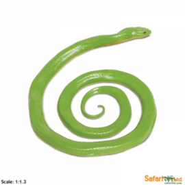 Green grass snake S257729
