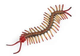 Centipede  XL