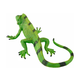Iguana  Mojo 381095