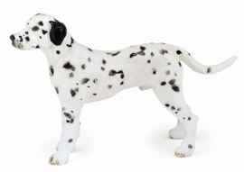 Dalmation Papo 54020