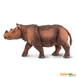 Sumatran Rhino  S100103