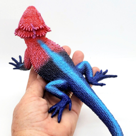 Mwanza Flat-Headed Rock Agama S101081