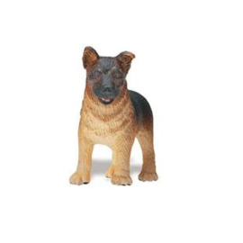 Duitse herder  puppy  S235629