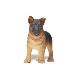 German Shepherd Puppy   S235629