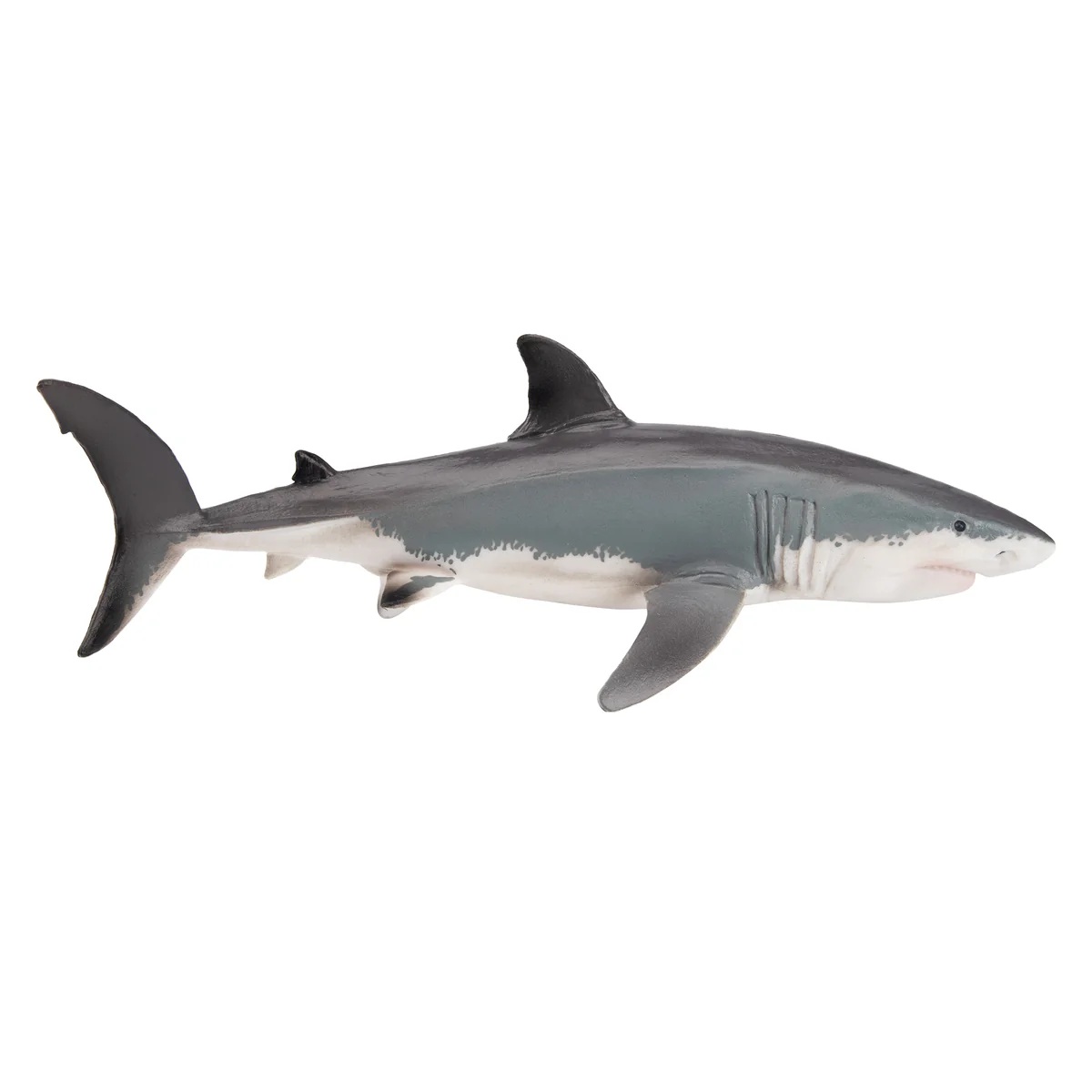 Great white  Toymany