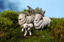 Merino schaap Papo 51175