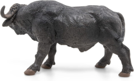 Afrikaanse buffel Papo 50114