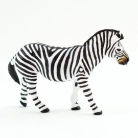Zebra  Steppenzebra  S100689