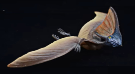 Pterosaurus  merkloos