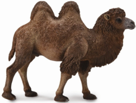 Camel CollectA 88807