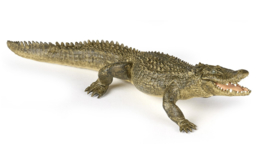 Alligator Papo 50254   met beweegbare onderkaak