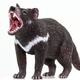 Tasmanian Devil    S100247