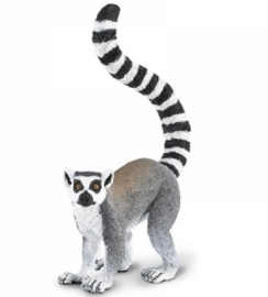Lemur   S292229