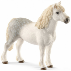 Welsh Pony hengst Schleich 13871