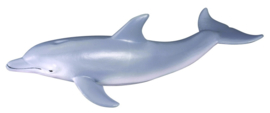 Bottlnose Dolphin   CollectA 88042