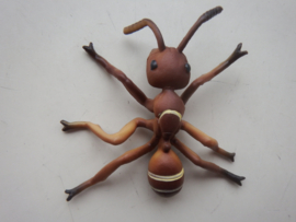 Ant  type 1