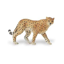 Cheetah  S271929