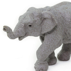 Elephant Asian Baby   S222329