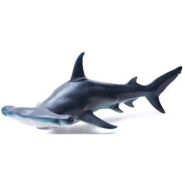 Hammerhead shark Recur