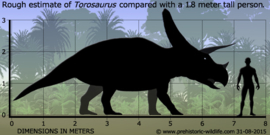 Torosaurus    CollectA 88512   