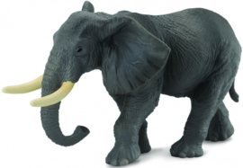 Elephant African   CollectA 88025