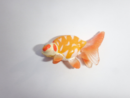 Stargazer  Chotengam