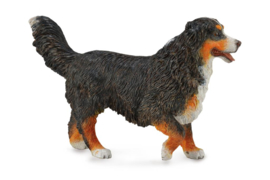 Bernese Mountain Dog   CollectA 88801