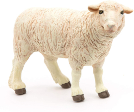 Merino sheep 51041