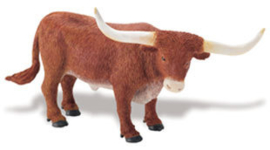 Texas Longhorn bull   S236229