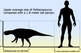 Psittacosaurus   CollectA 88354