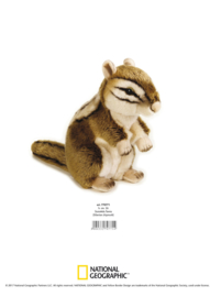 Siberian chipmunk