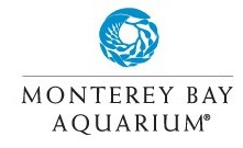 Walvishaai (serie Monterey Bay Aquarium)  S210602