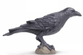 Raven  Safari 150829